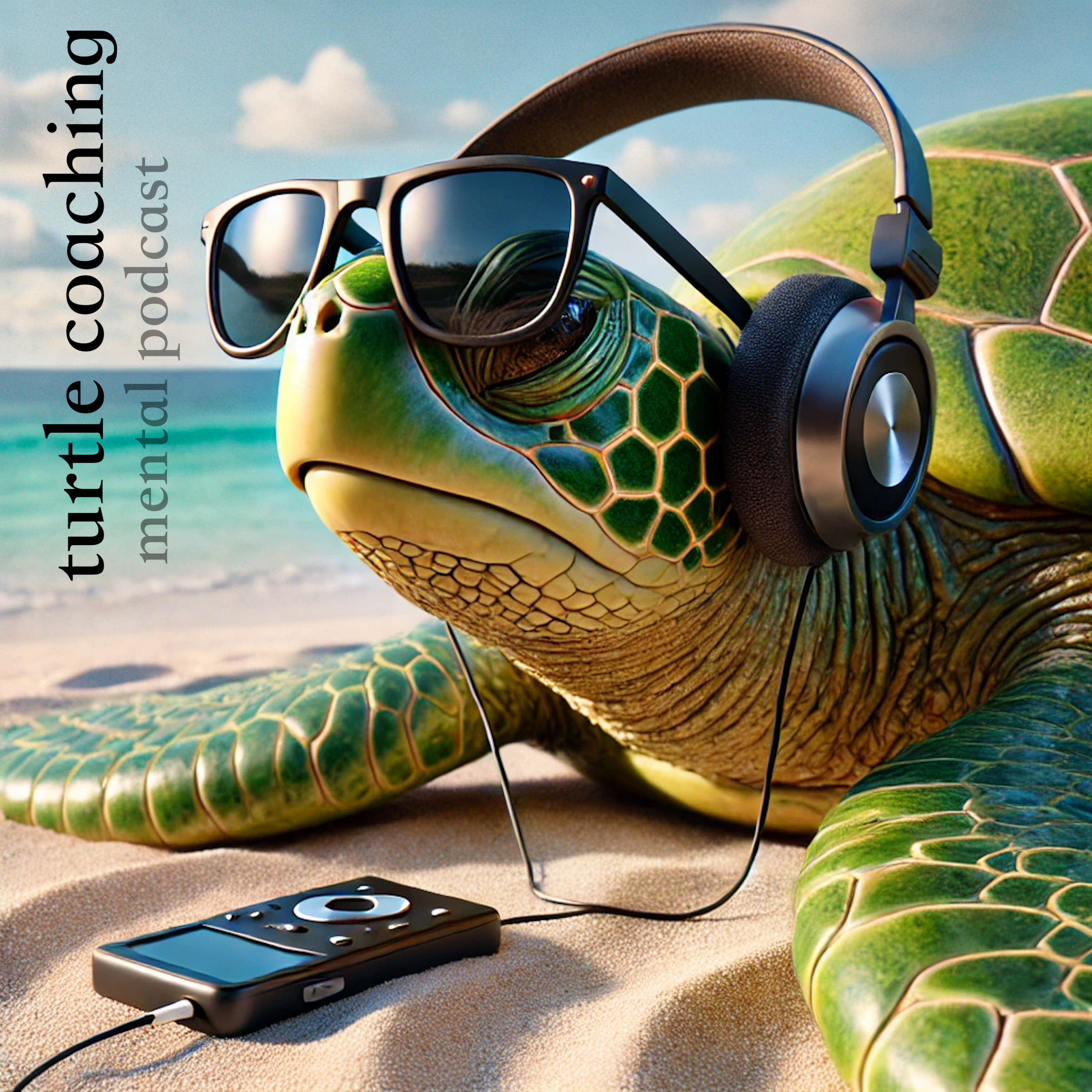 turtle-podcast-cover